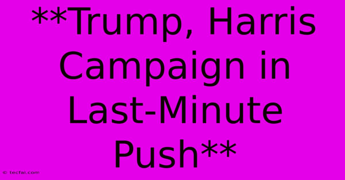 **Trump, Harris Campaign In Last-Minute Push**