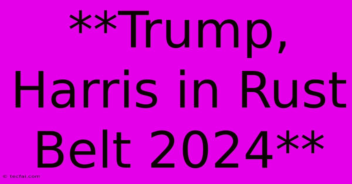 **Trump, Harris In Rust Belt 2024**