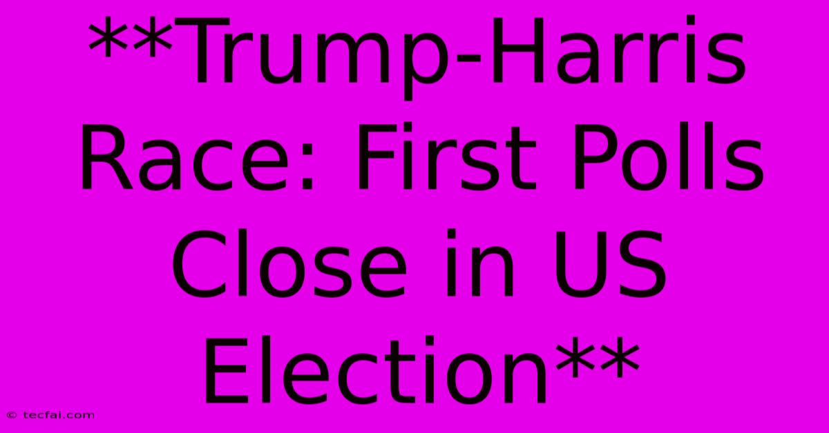 **Trump-Harris Race: First Polls Close In US Election**