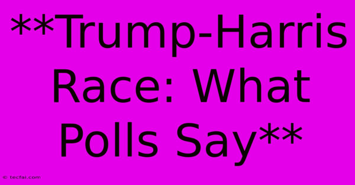 **Trump-Harris Race: What Polls Say** 