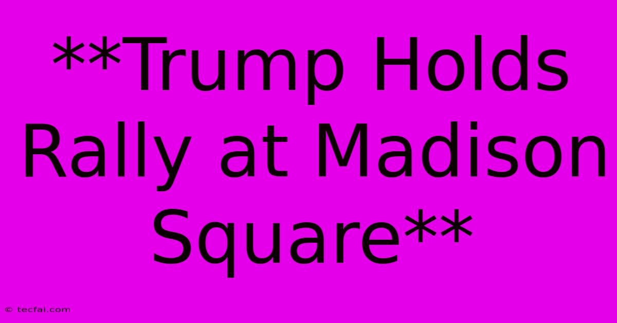 **Trump Holds Rally At Madison Square** 