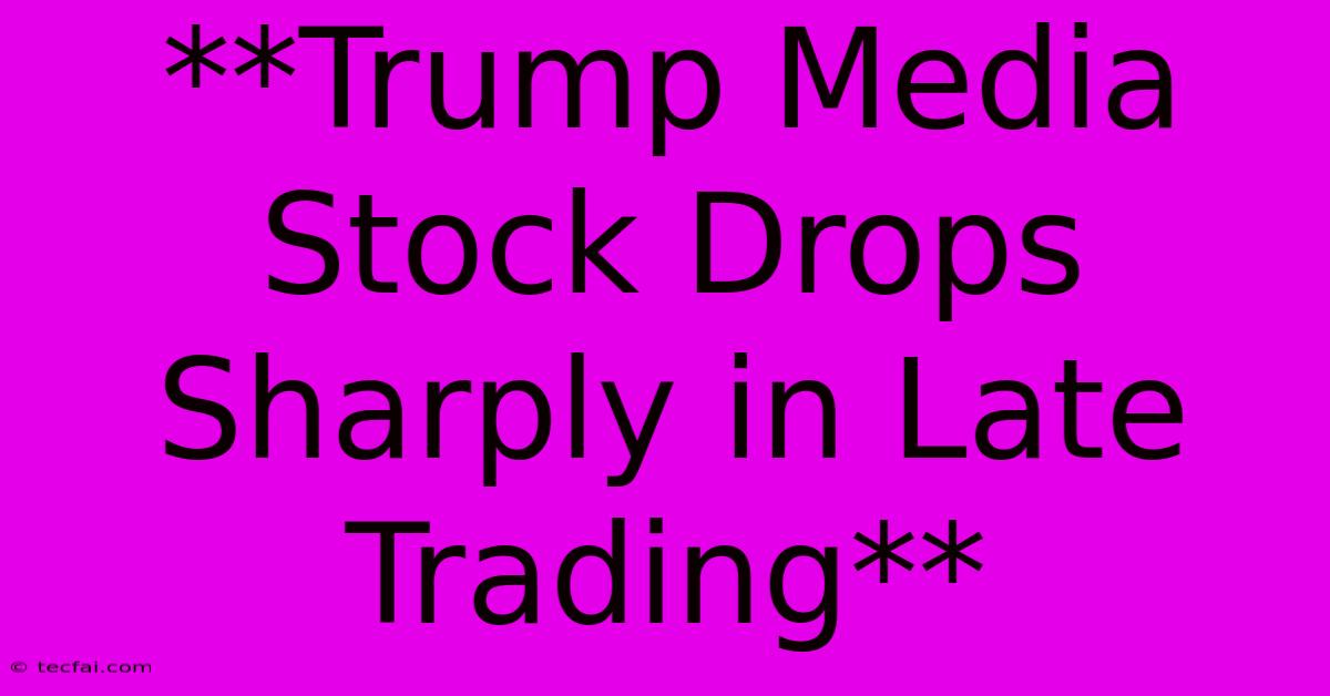 **Trump Media Stock Drops Sharply In Late Trading**