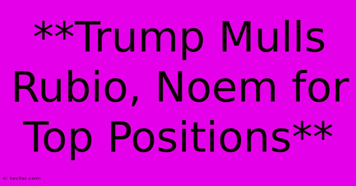 **Trump Mulls Rubio, Noem For Top Positions** 