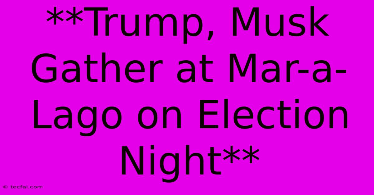 **Trump, Musk Gather At Mar-a-Lago On Election Night**