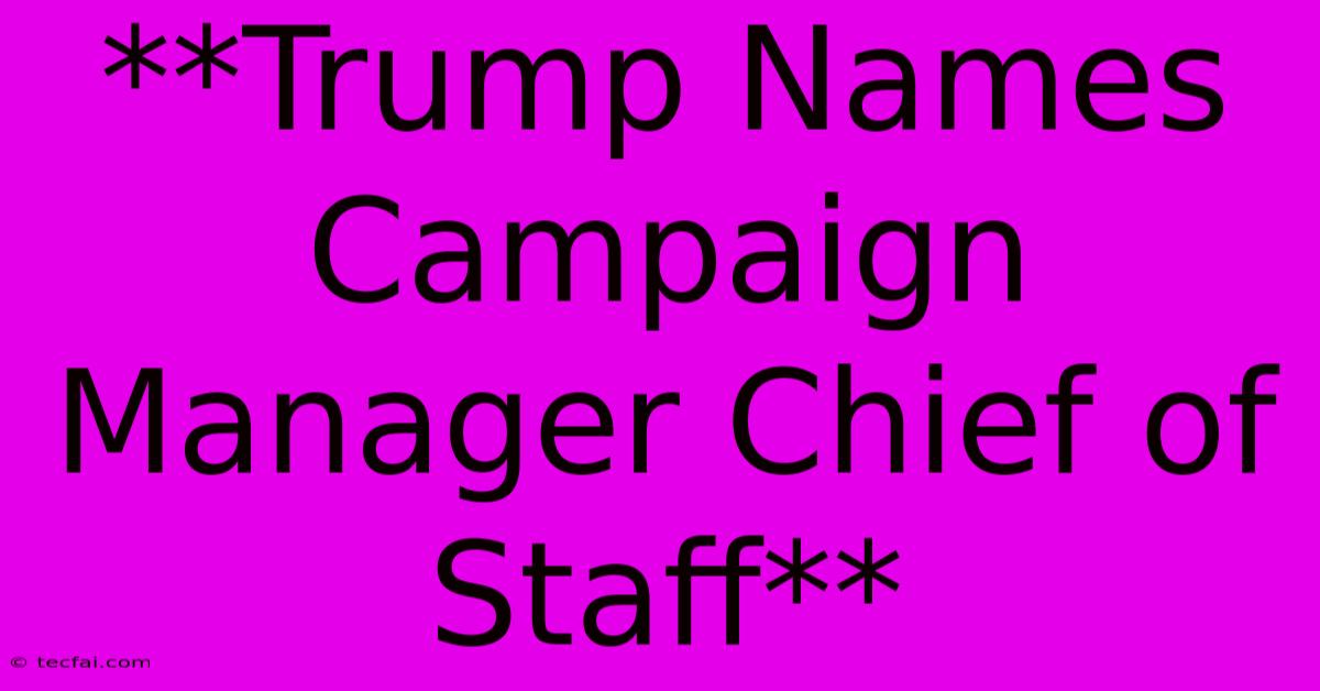 **Trump Names Campaign Manager Chief Of Staff**