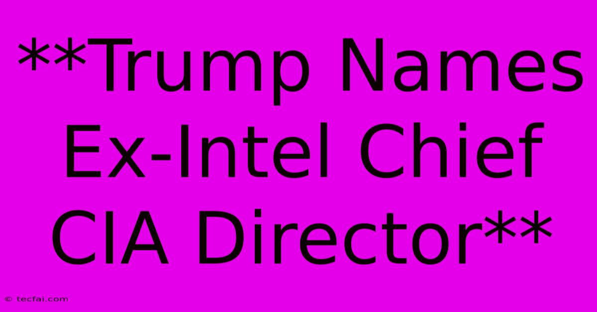 **Trump Names Ex-Intel Chief CIA Director**