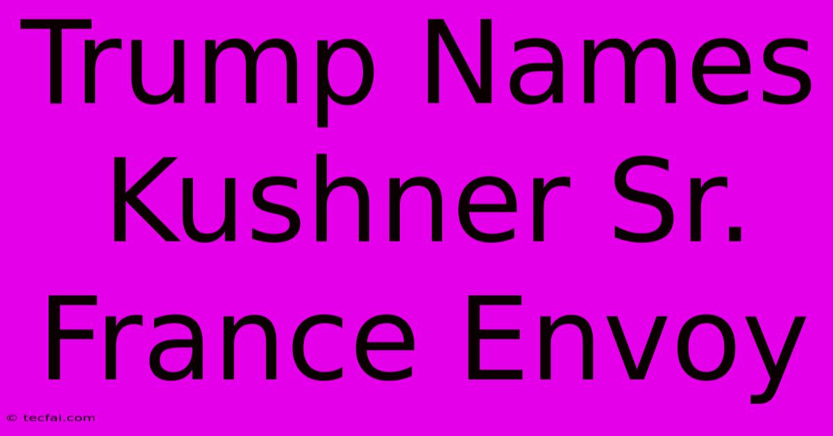 Trump Names Kushner Sr. France Envoy