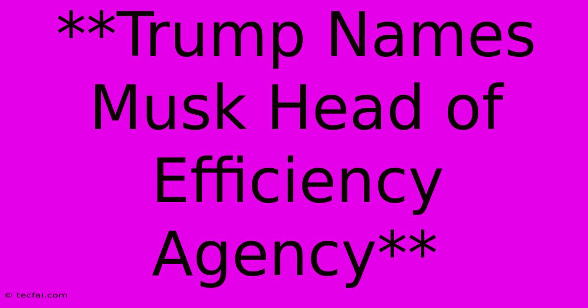 **Trump Names Musk Head Of Efficiency Agency** 