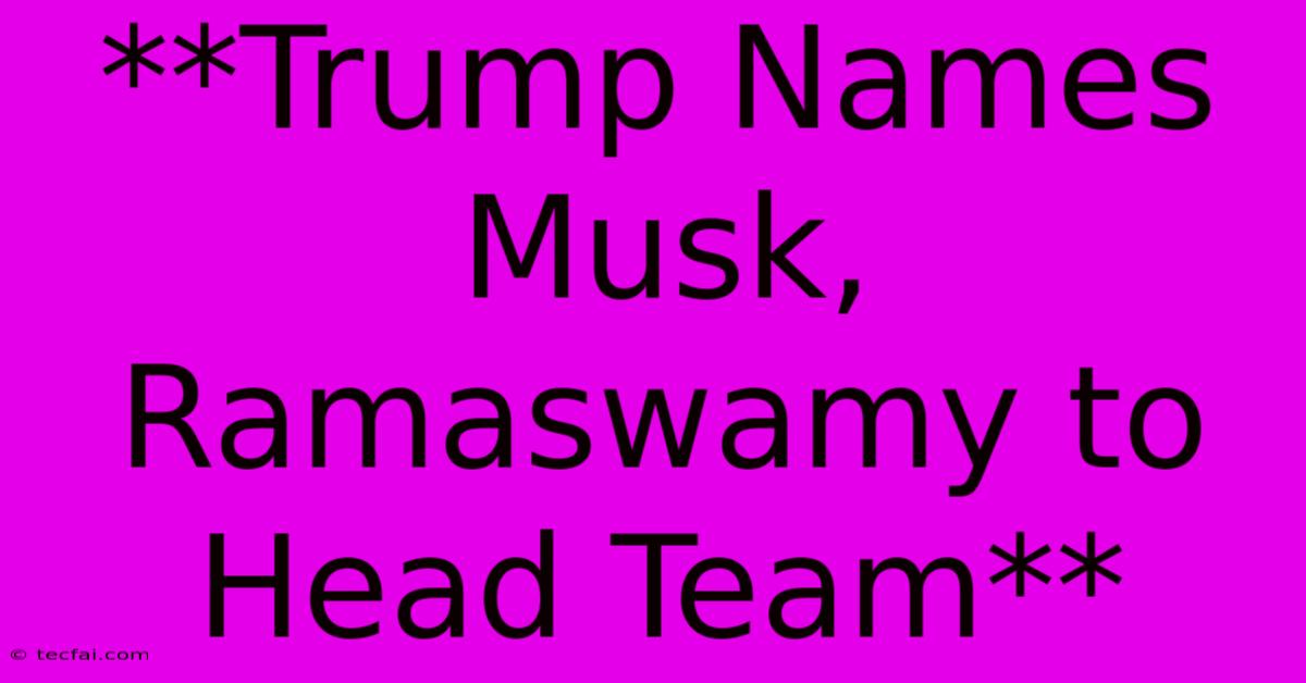 **Trump Names Musk, Ramaswamy To Head Team**