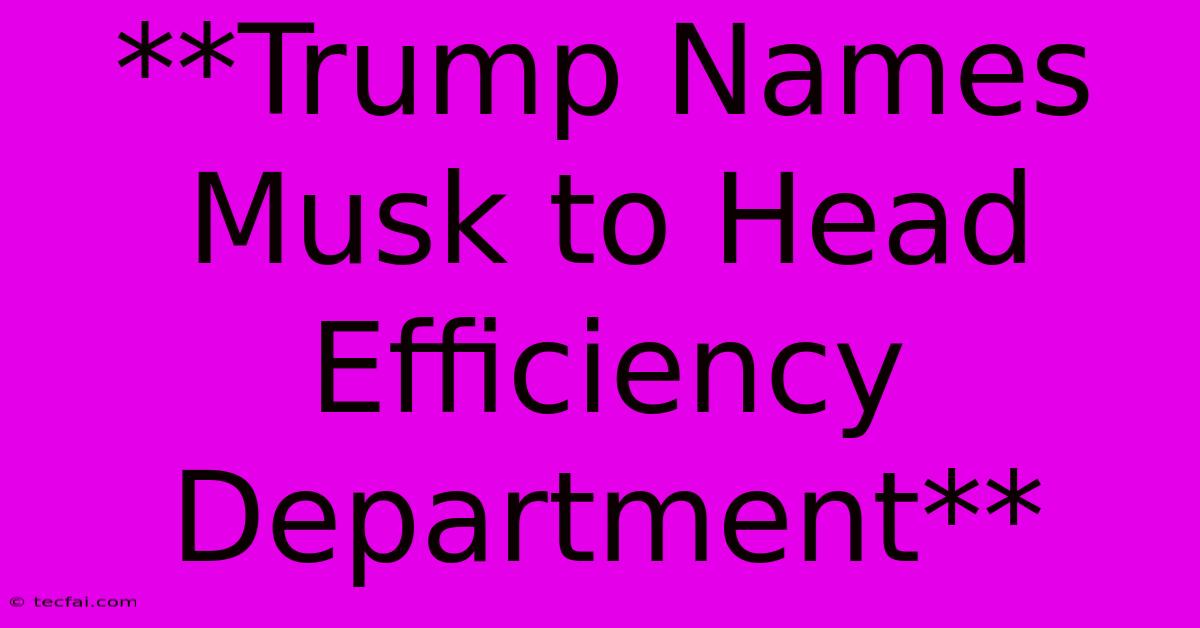 **Trump Names Musk To Head Efficiency Department**