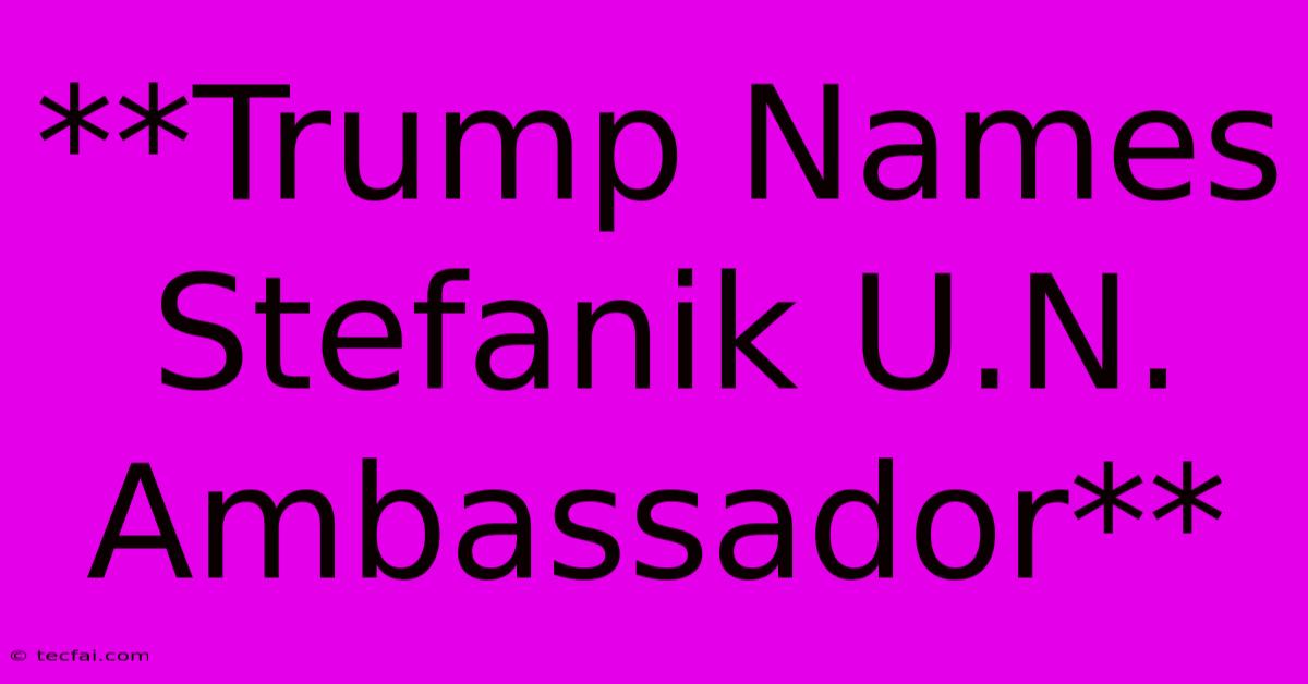 **Trump Names Stefanik U.N. Ambassador**