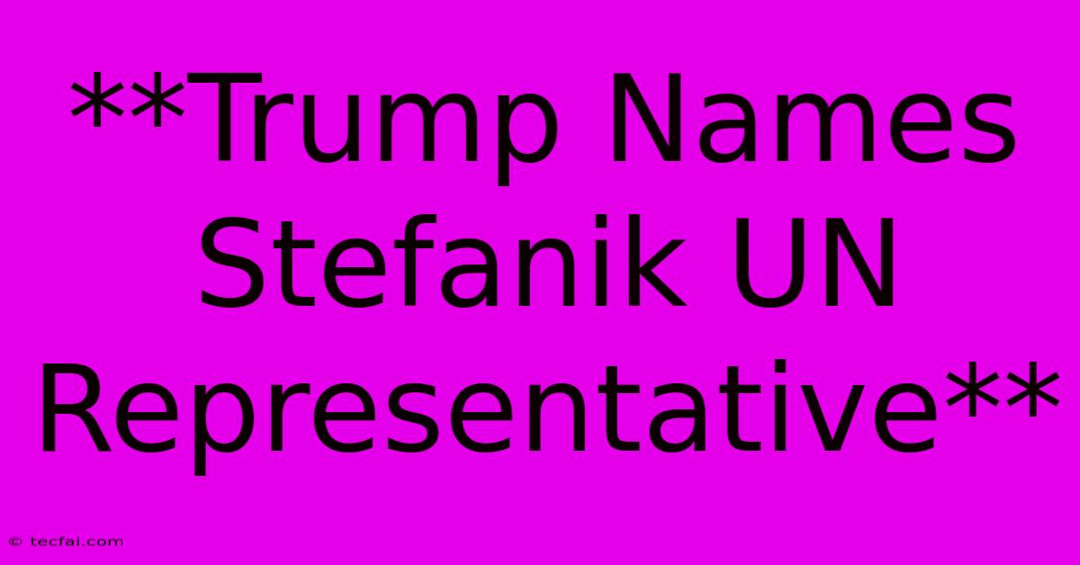 **Trump Names Stefanik UN Representative**