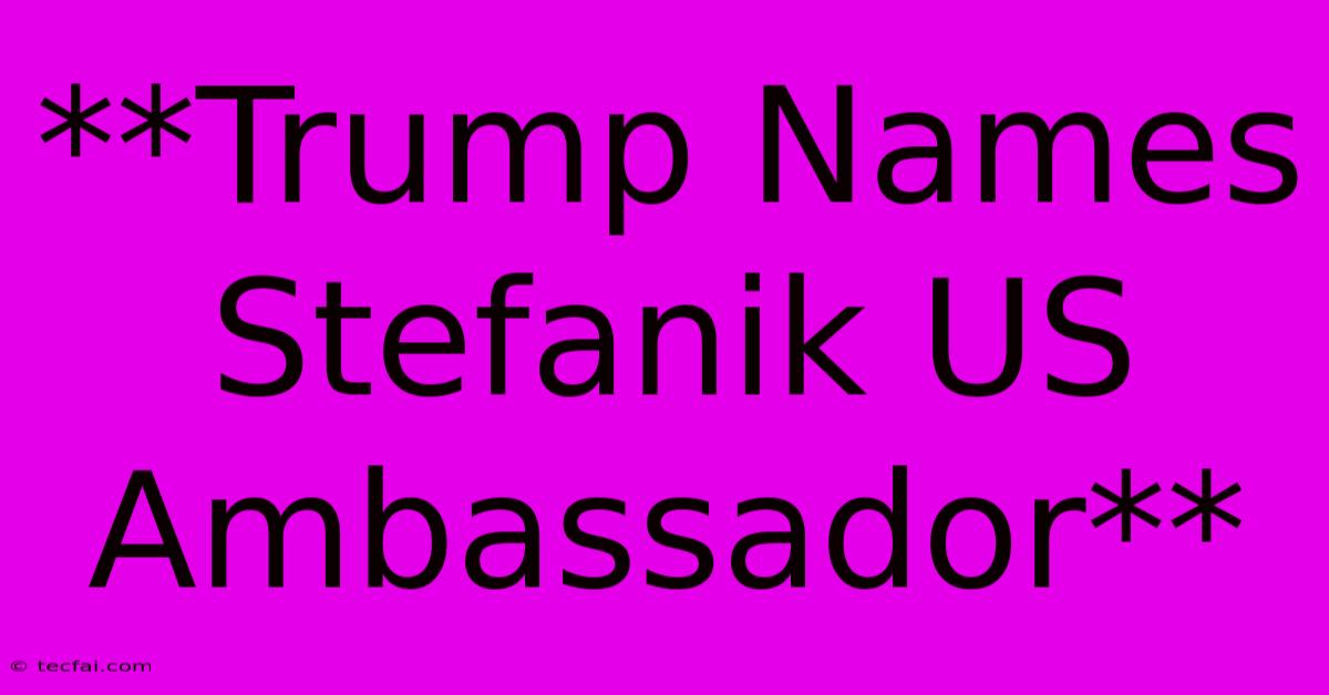 **Trump Names Stefanik US Ambassador**