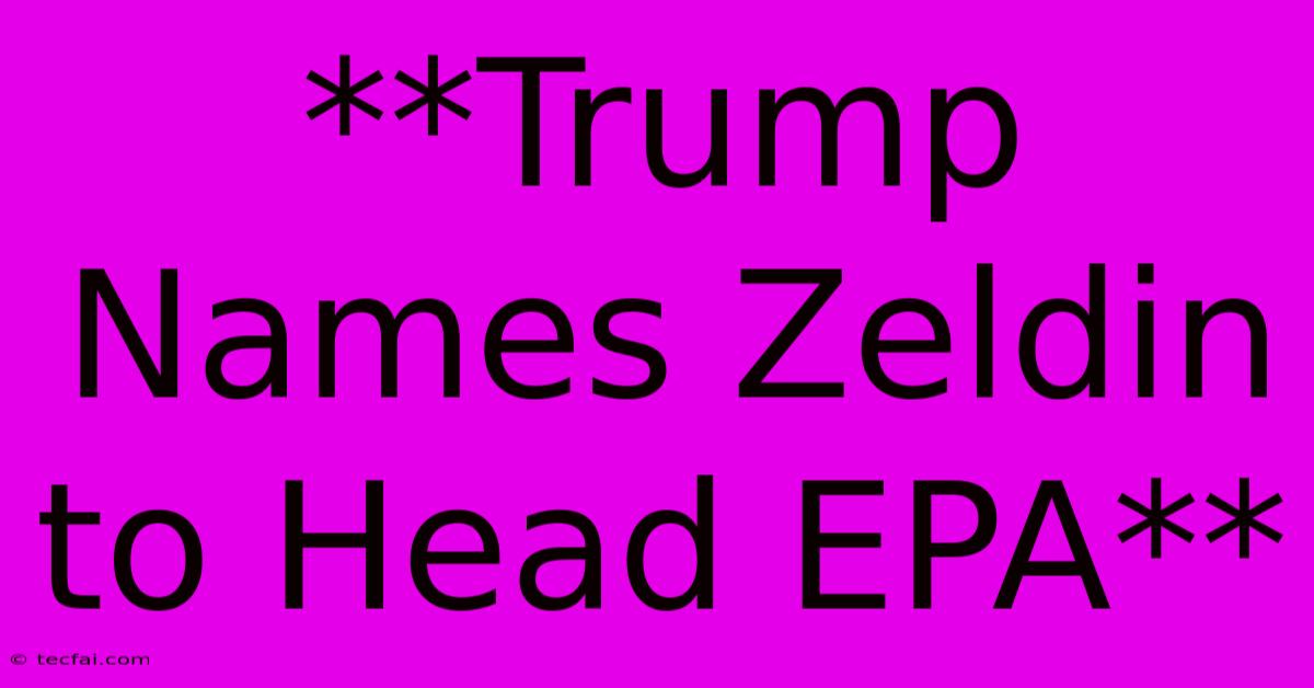 **Trump Names Zeldin To Head EPA**