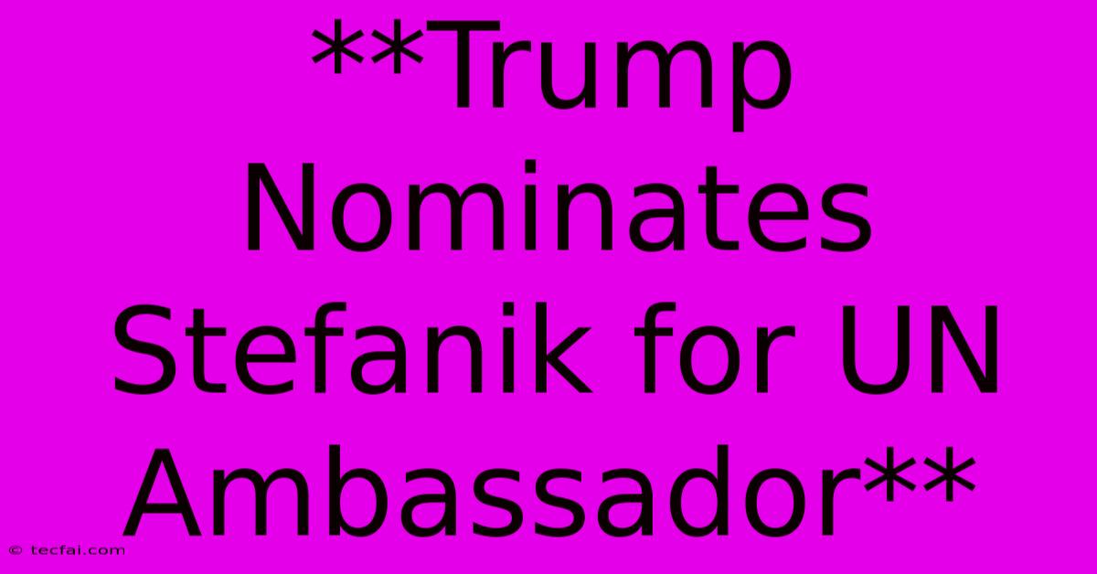 **Trump Nominates Stefanik For UN Ambassador**