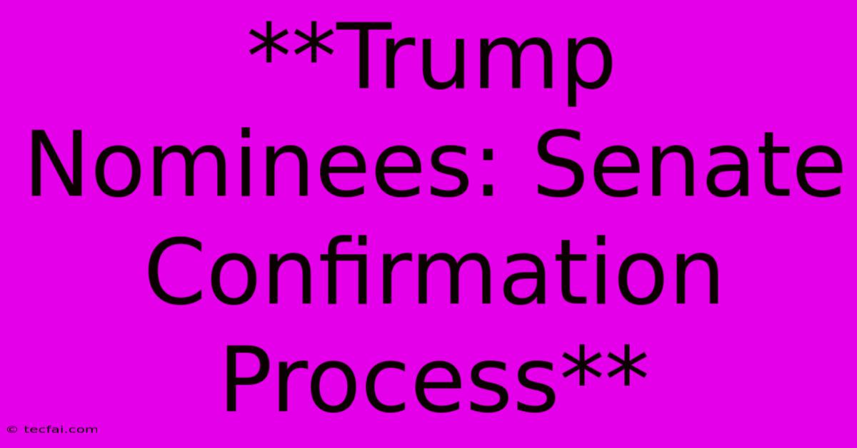 **Trump Nominees: Senate Confirmation Process**