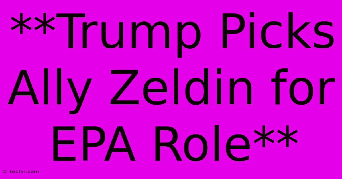 **Trump Picks Ally Zeldin For EPA Role** 