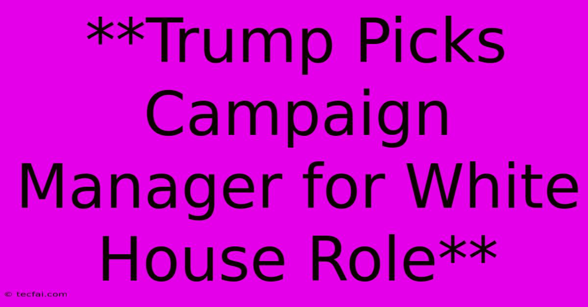 **Trump Picks Campaign Manager For White House Role** 