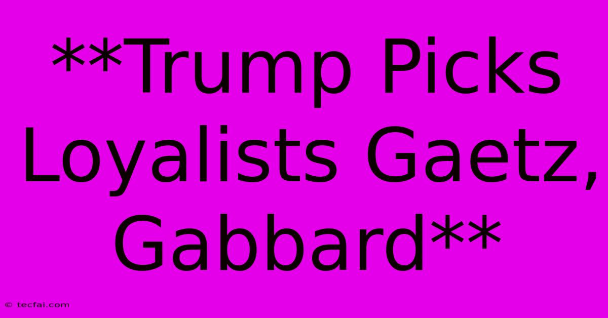 **Trump Picks Loyalists Gaetz, Gabbard**