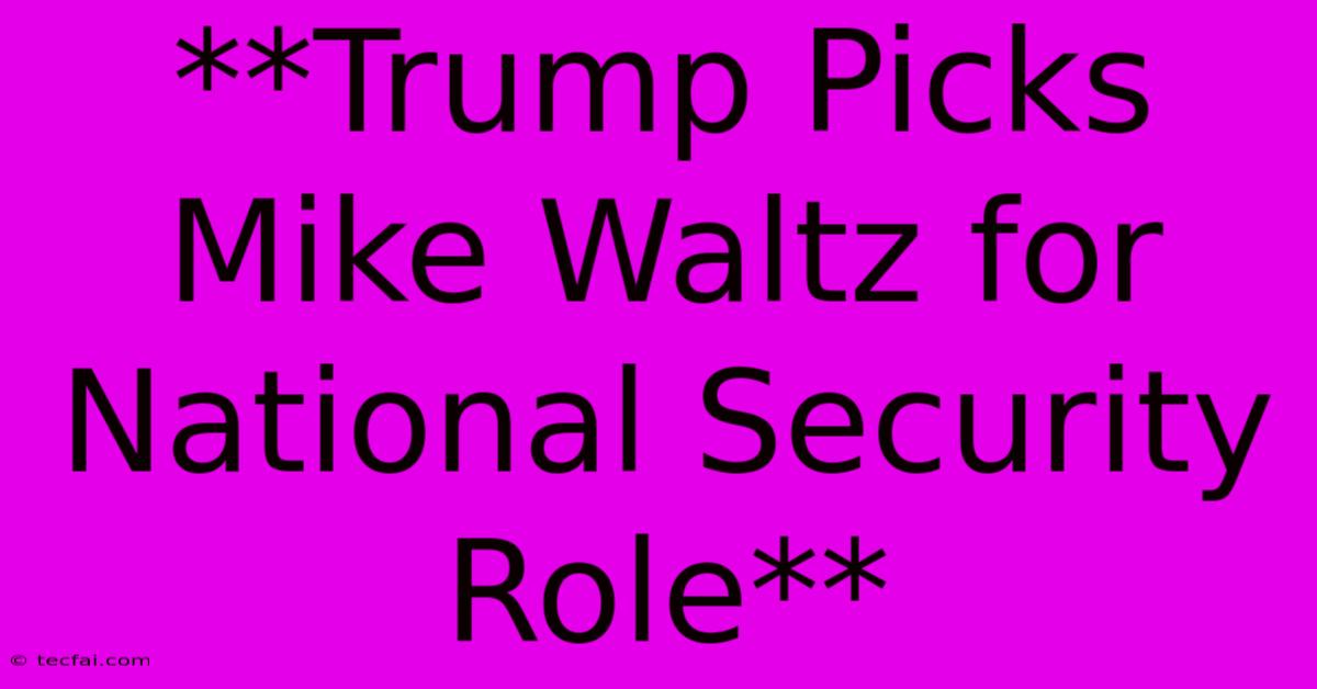 **Trump Picks Mike Waltz For National Security Role** 