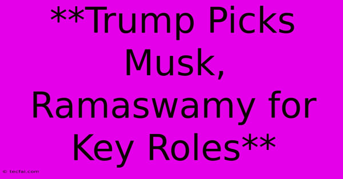 **Trump Picks Musk, Ramaswamy For Key Roles**