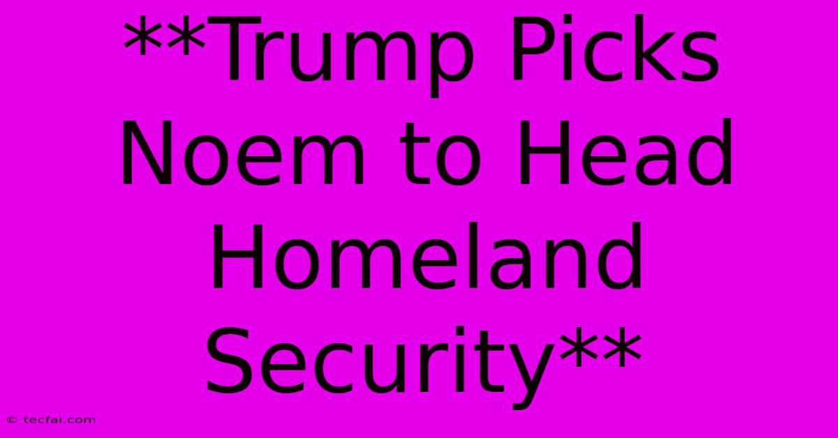 **Trump Picks Noem To Head Homeland Security** 