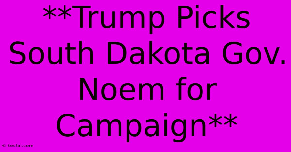 **Trump Picks South Dakota Gov. Noem For Campaign**