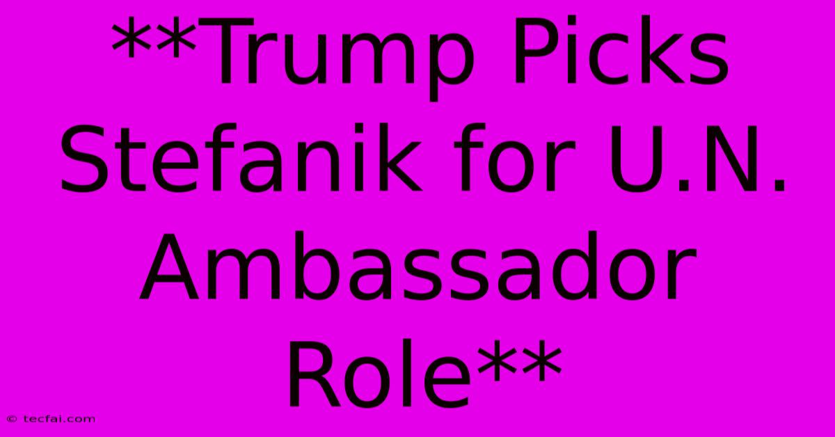 **Trump Picks Stefanik For U.N. Ambassador Role**