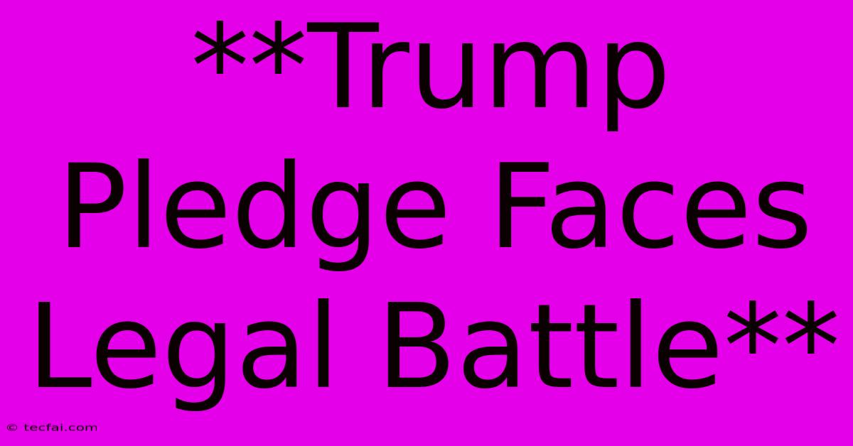 **Trump Pledge Faces Legal Battle**