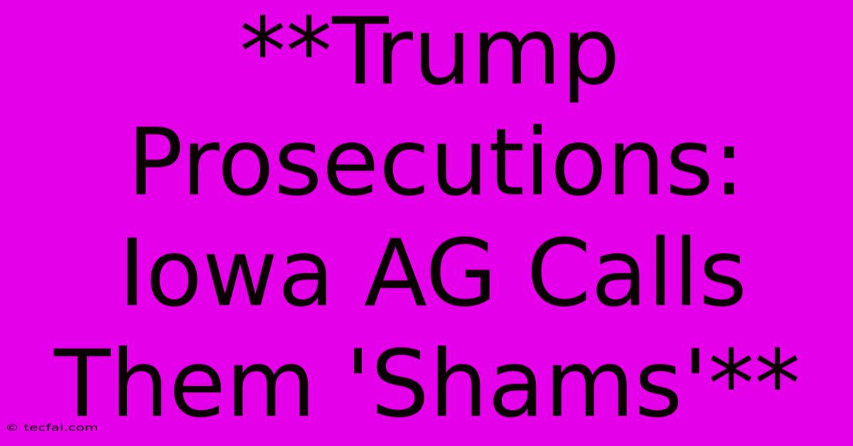 **Trump Prosecutions: Iowa AG Calls Them 'Shams'**