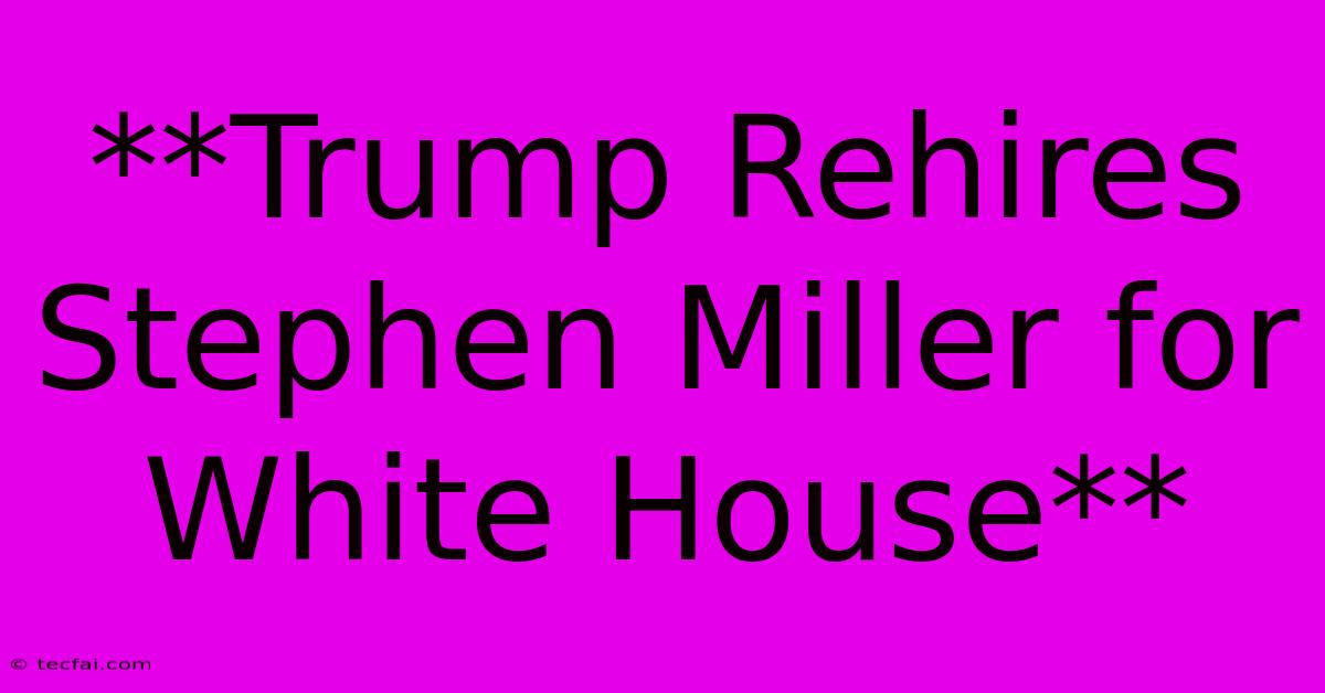 **Trump Rehires Stephen Miller For White House**