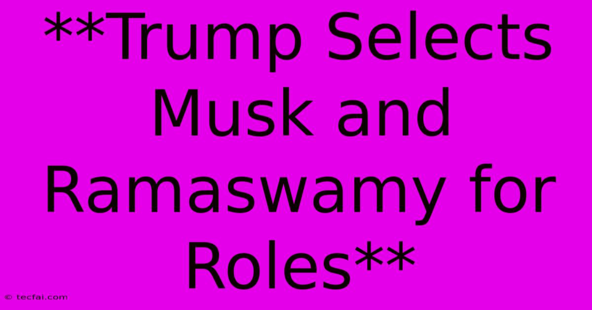 **Trump Selects Musk And Ramaswamy For Roles**