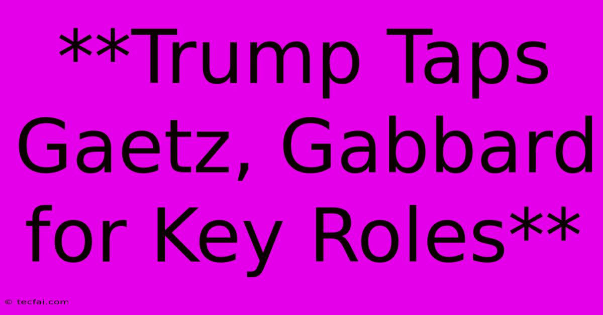 **Trump Taps Gaetz, Gabbard For Key Roles**