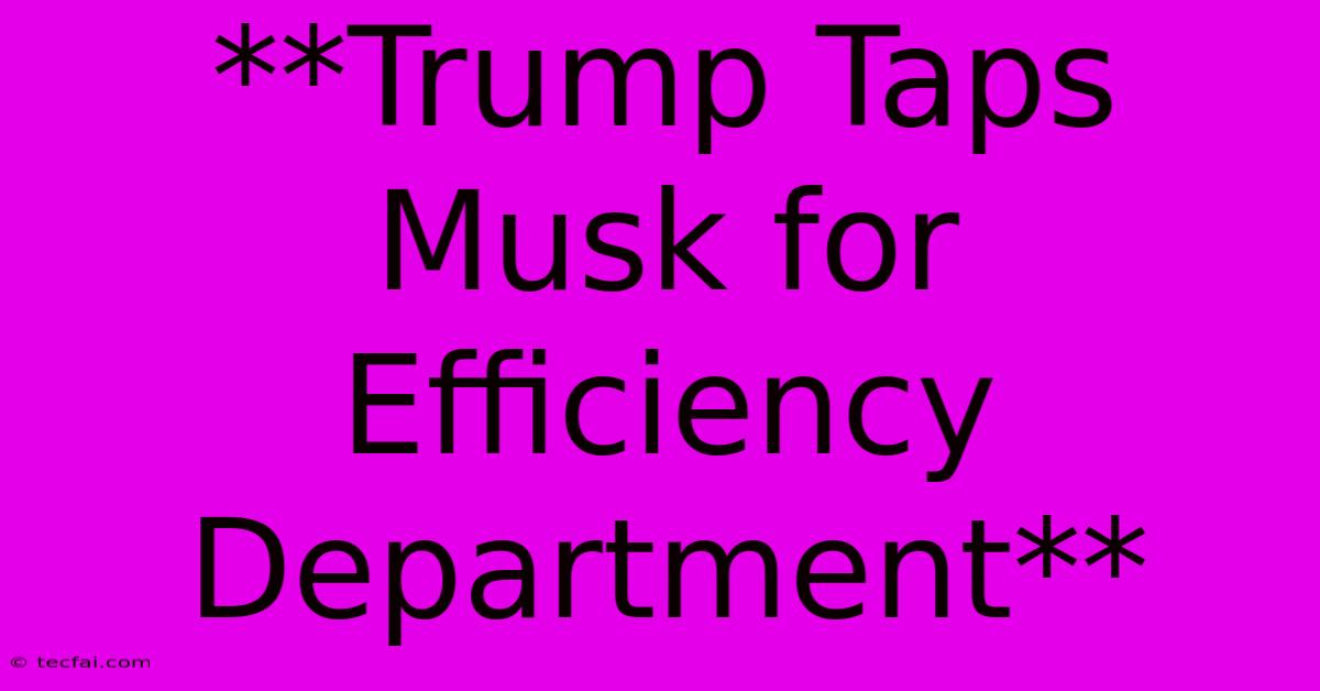 **Trump Taps Musk For Efficiency Department** 