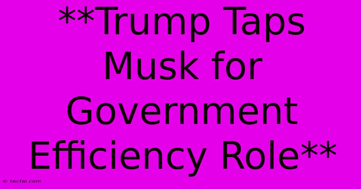 **Trump Taps Musk For Government Efficiency Role**