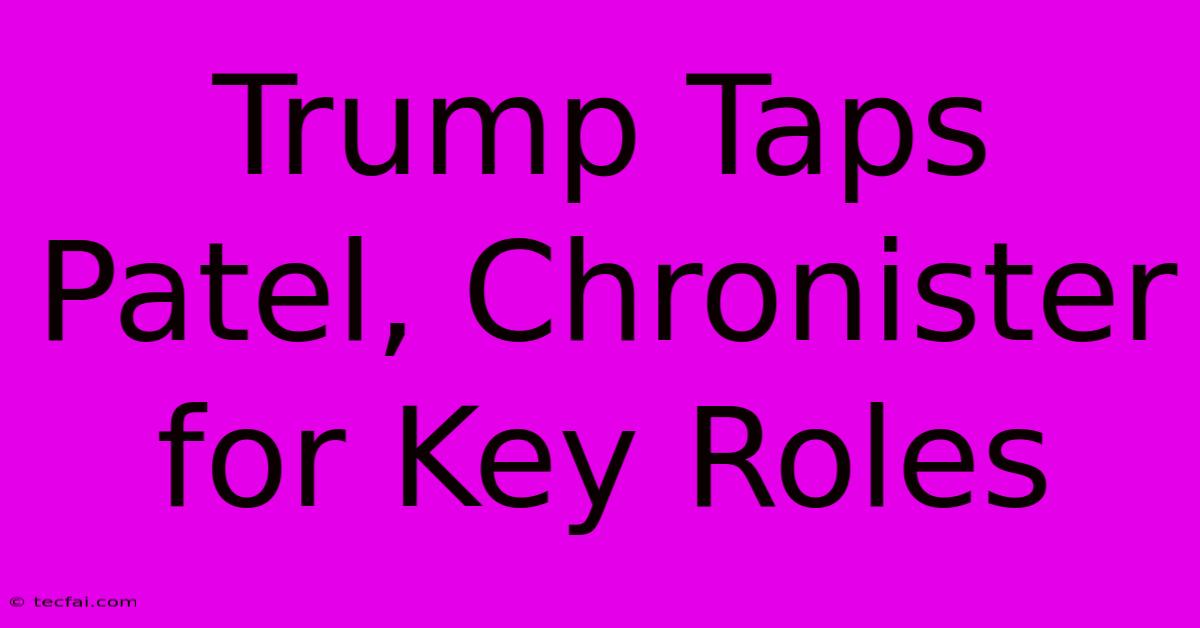 Trump Taps Patel, Chronister For Key Roles