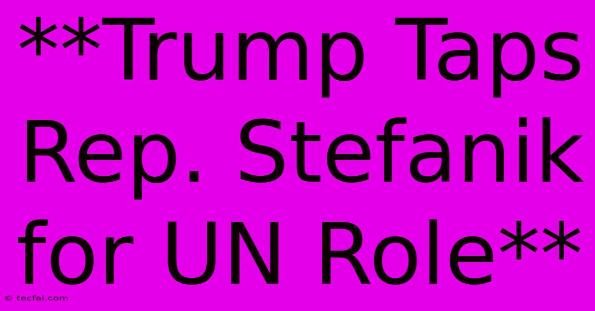 **Trump Taps Rep. Stefanik For UN Role**