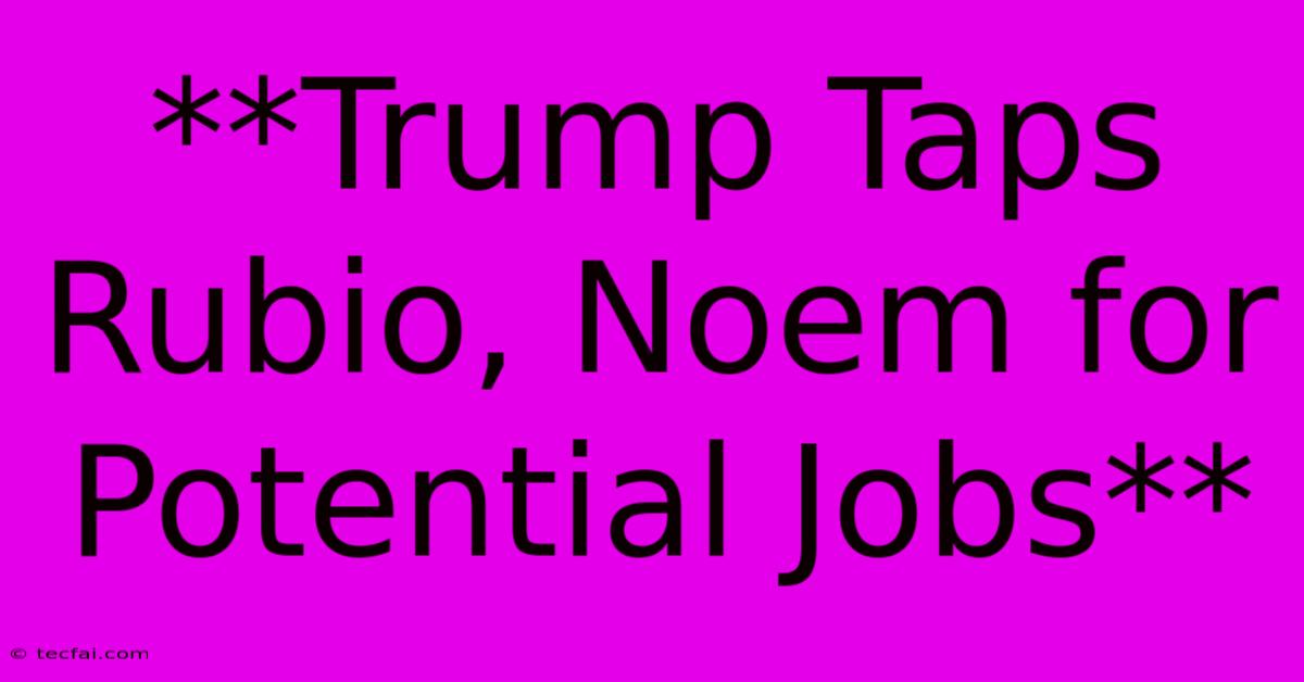 **Trump Taps Rubio, Noem For Potential Jobs**