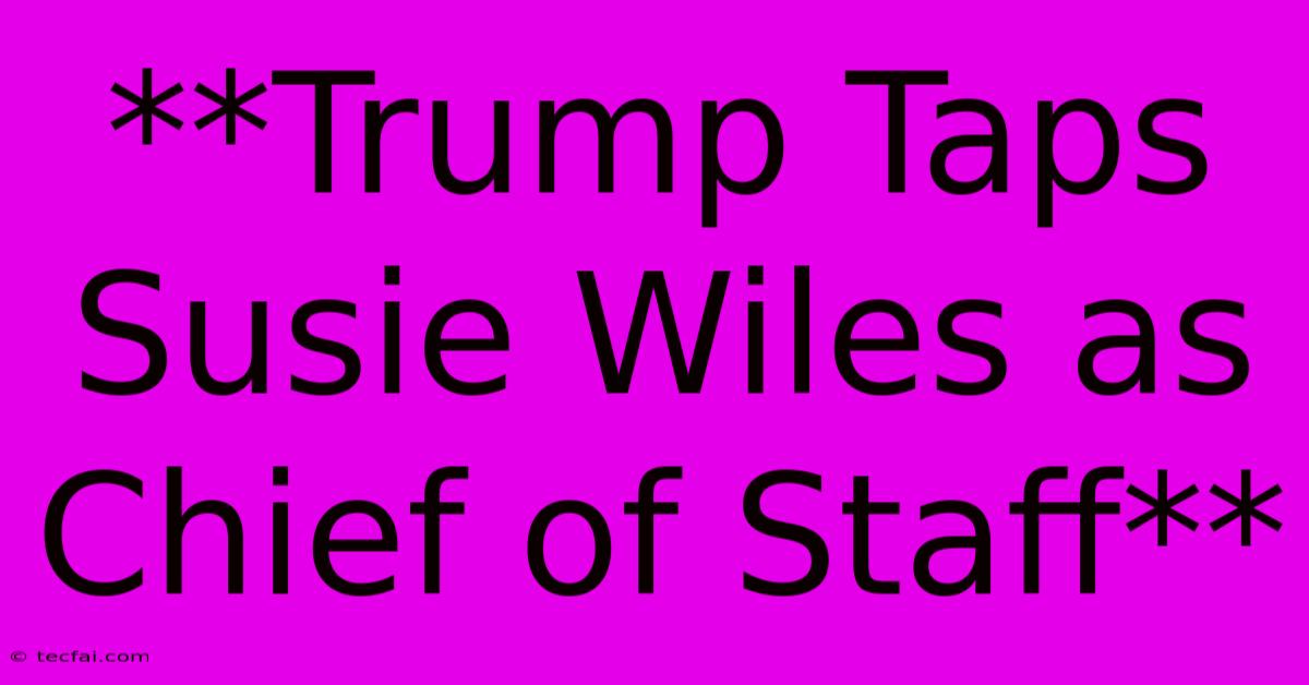 **Trump Taps Susie Wiles As Chief Of Staff**