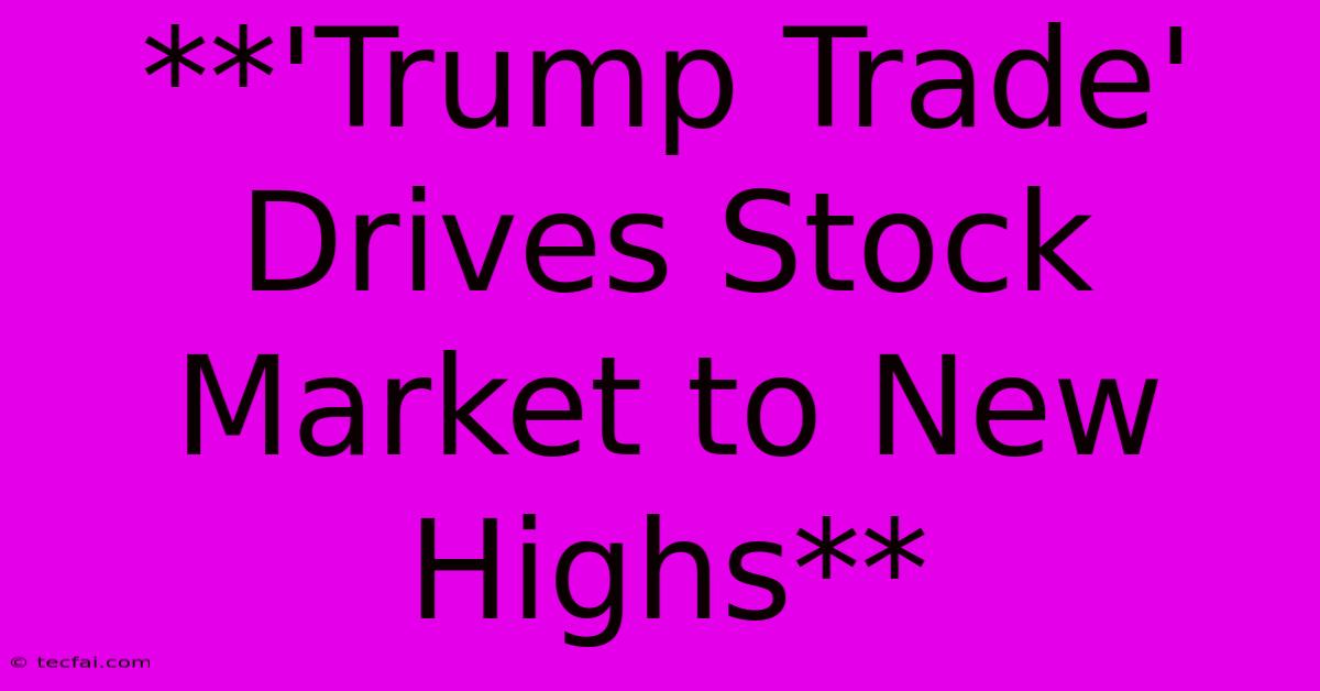 **'Trump Trade' Drives Stock Market To New Highs** 