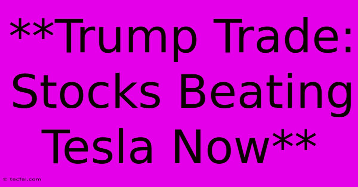 **Trump Trade: Stocks Beating Tesla Now** 