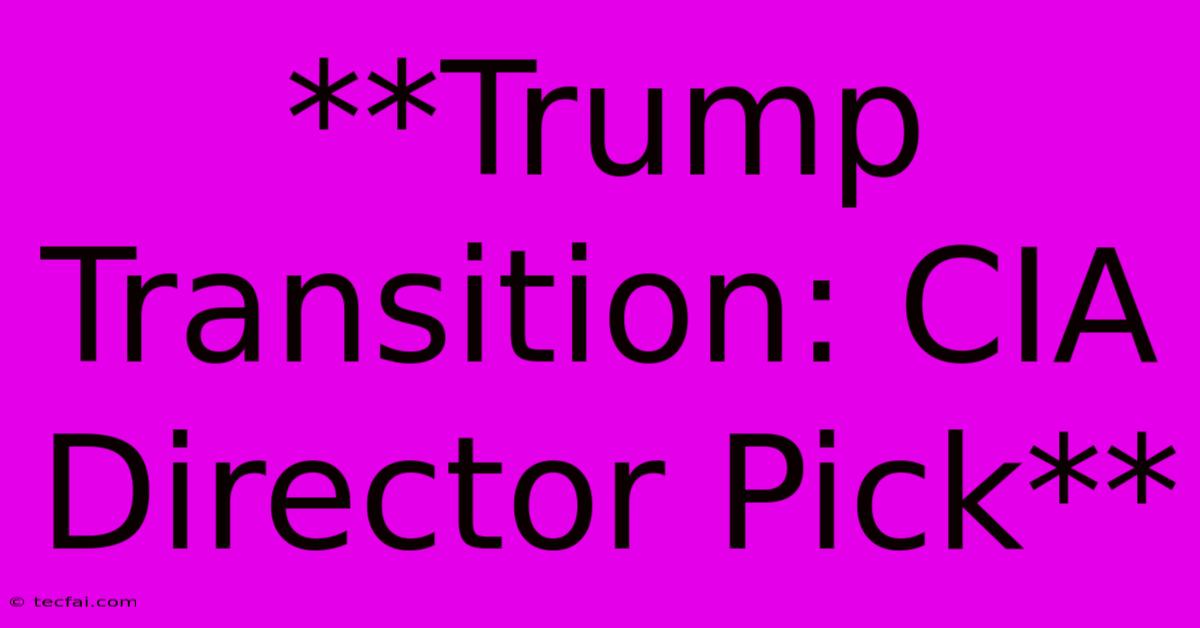 **Trump Transition: CIA Director Pick**