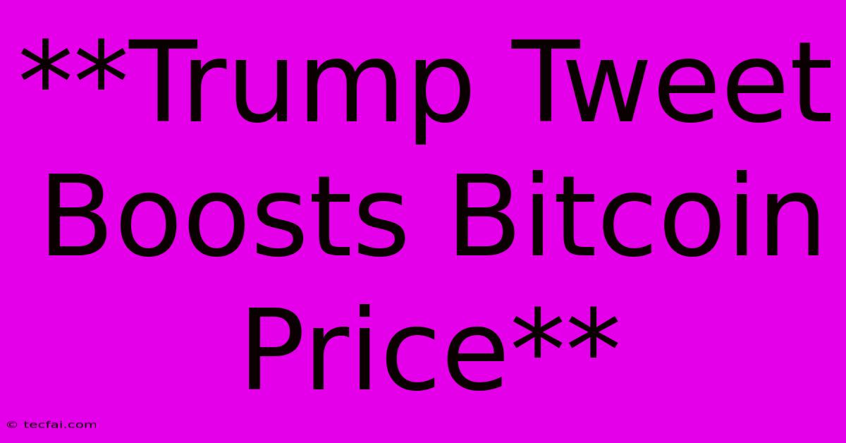 **Trump Tweet Boosts Bitcoin Price**