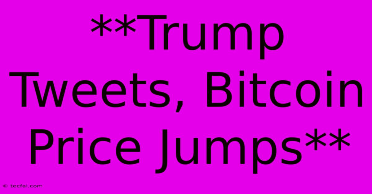 **Trump Tweets, Bitcoin Price Jumps**