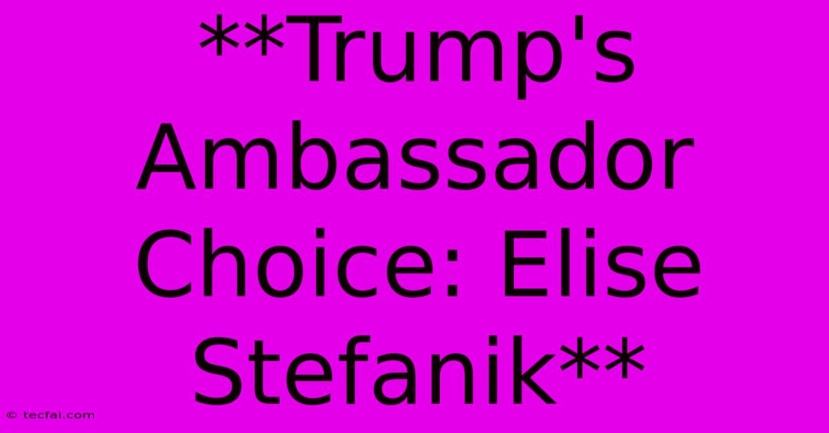 **Trump's Ambassador Choice: Elise Stefanik** 