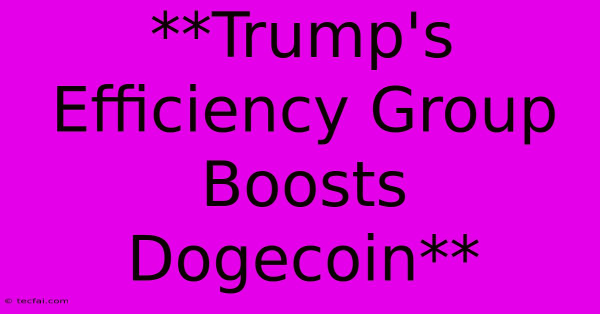 **Trump's Efficiency Group Boosts Dogecoin**