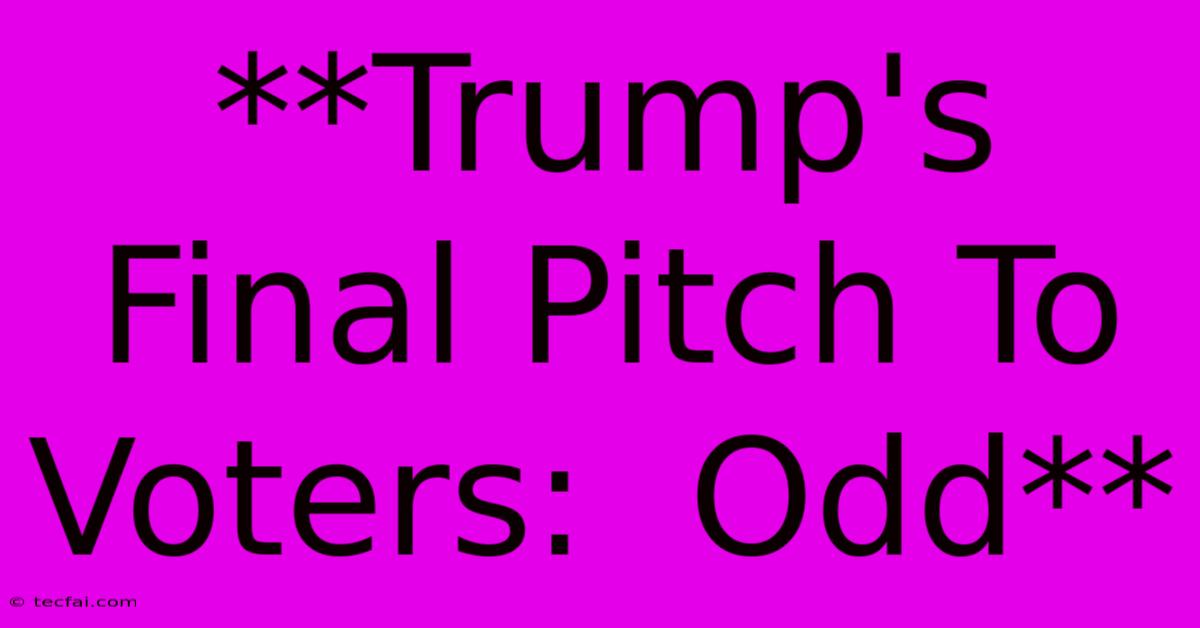 **Trump's Final Pitch To Voters:  Odd**