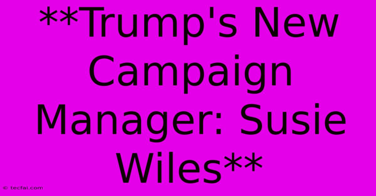 **Trump's New Campaign Manager: Susie Wiles**