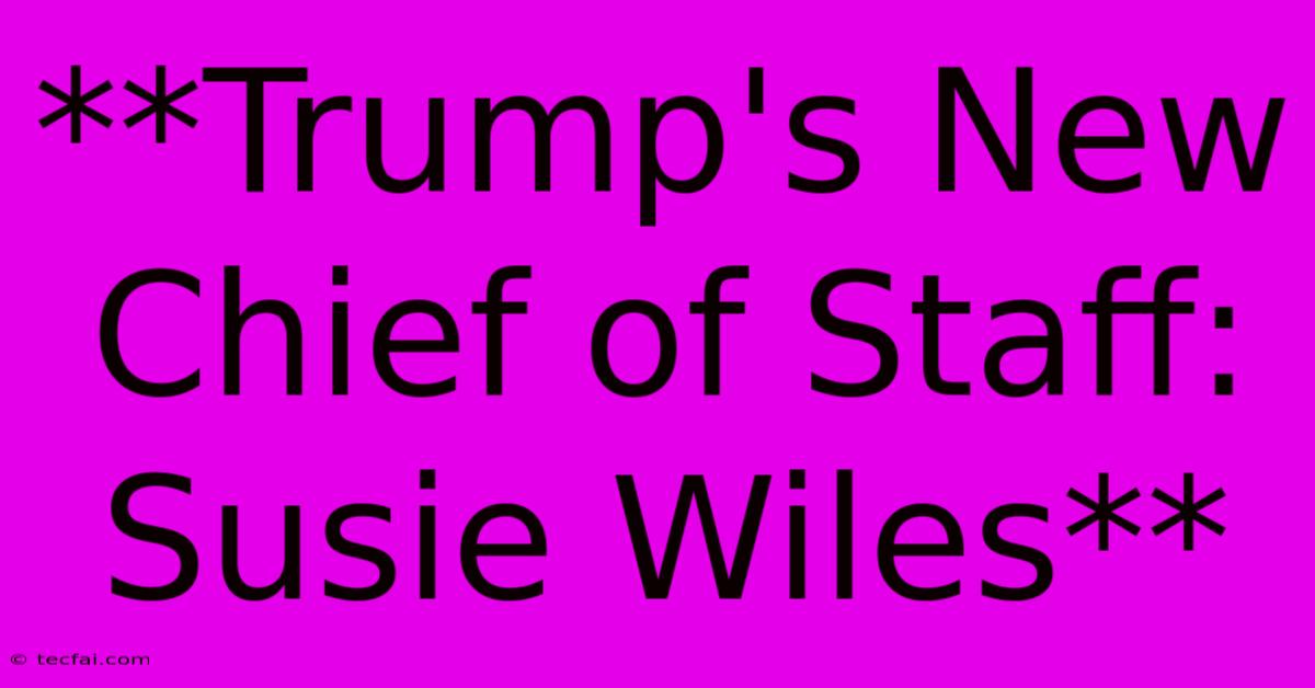 **Trump's New Chief Of Staff: Susie Wiles**