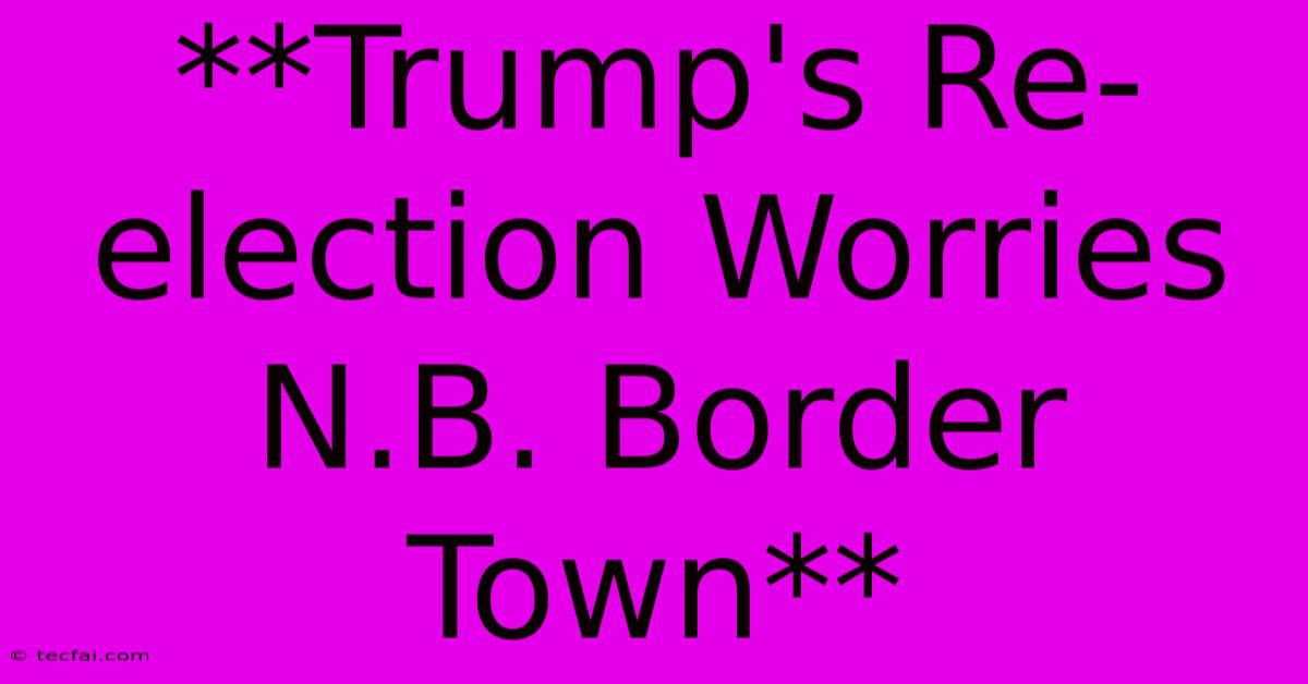 **Trump's Re-election Worries N.B. Border Town**